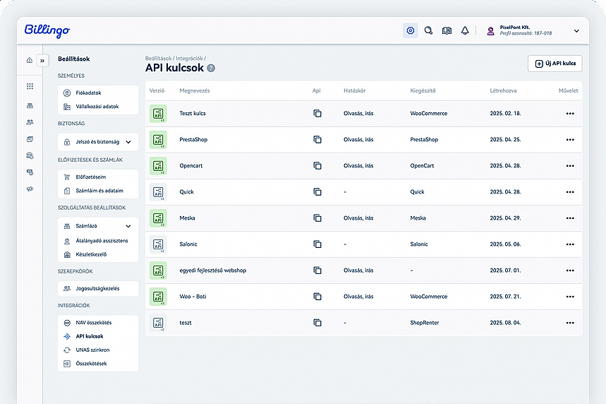 Billingo API és tömeges számlagenerálás